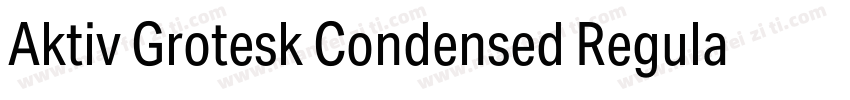 Aktiv Grotesk Condensed Regular字体转换